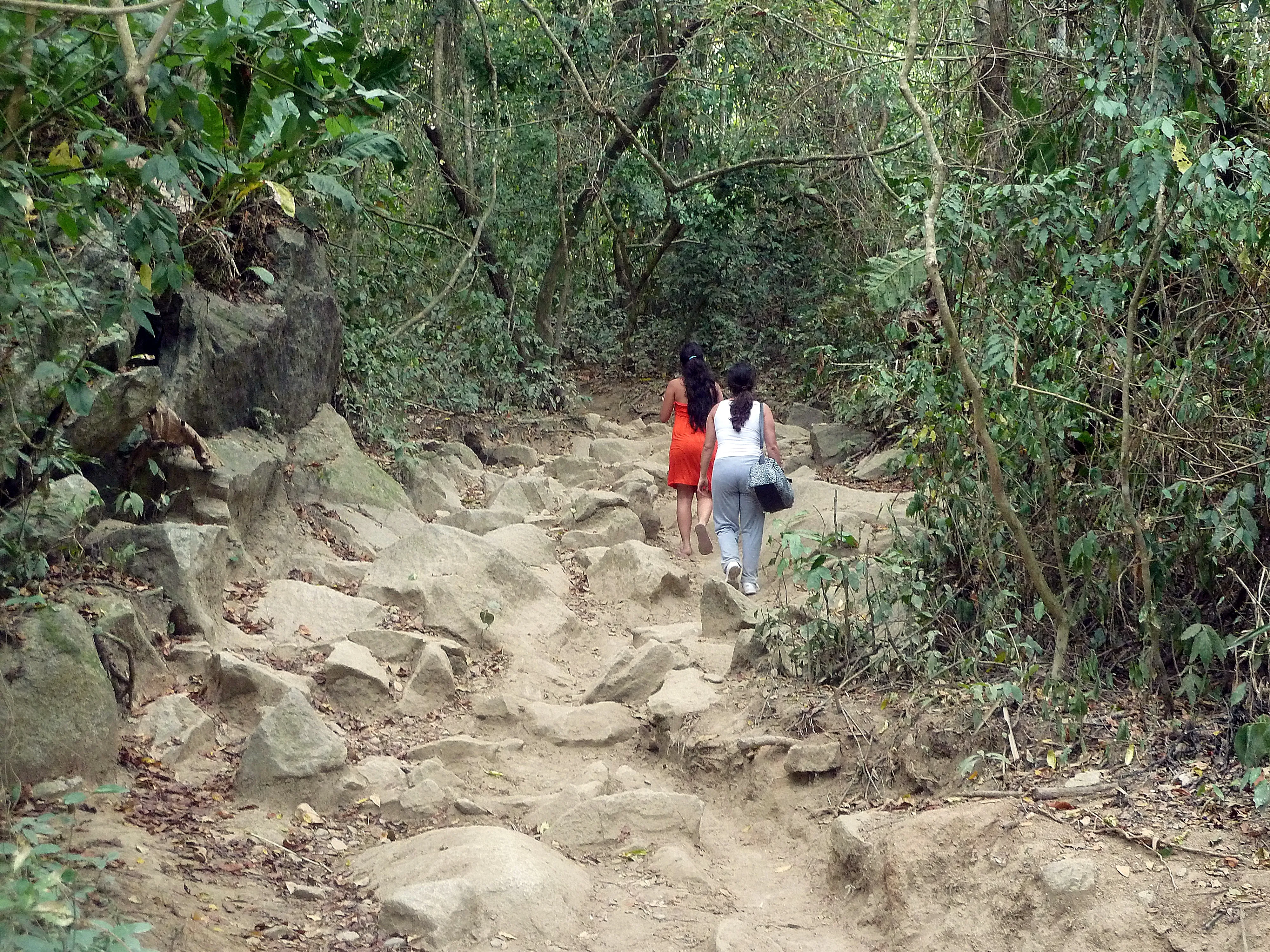 100 Hiking Through Tayrona Colombia