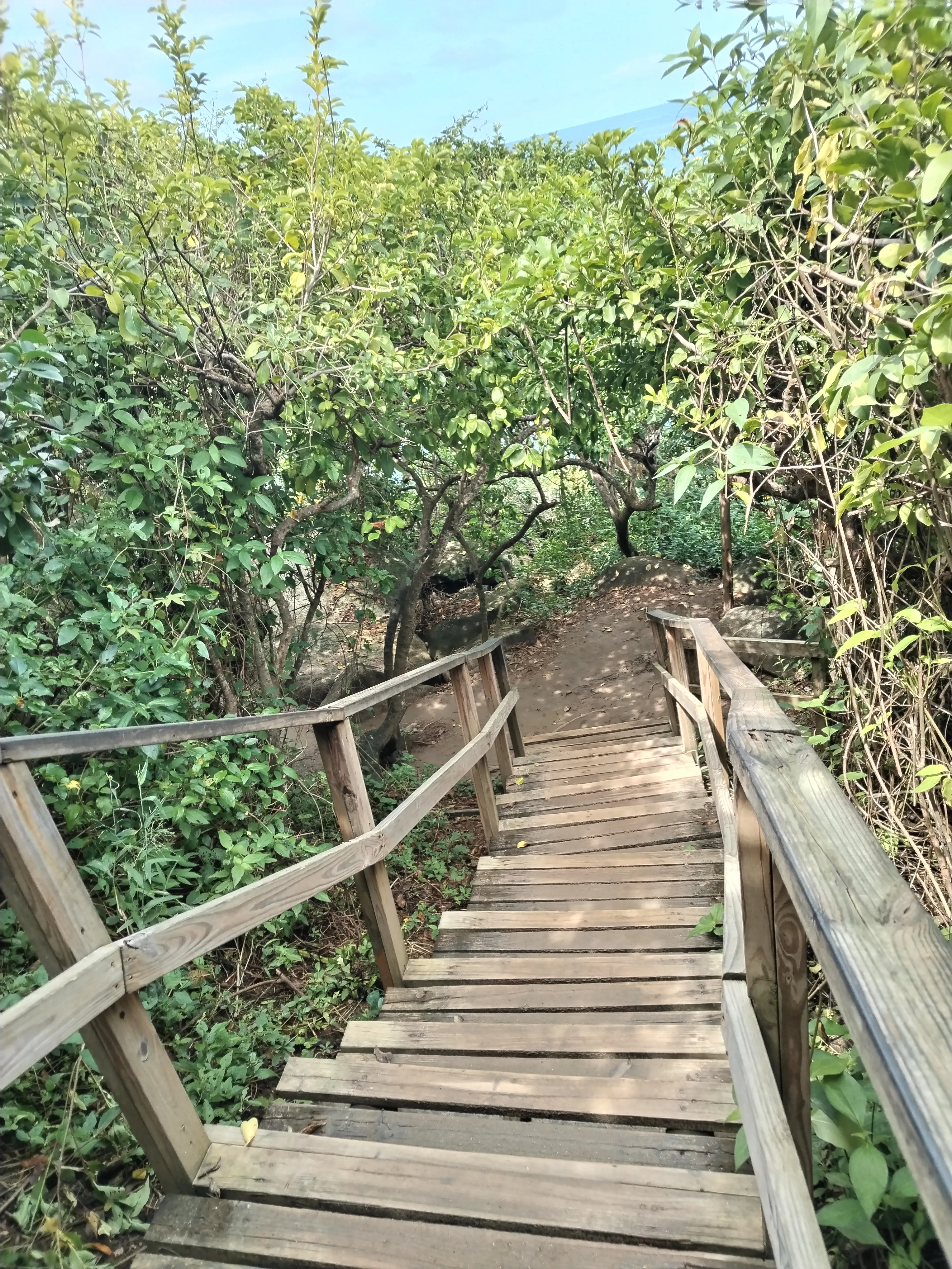 Camino de graderias sendero Parque Tayrona