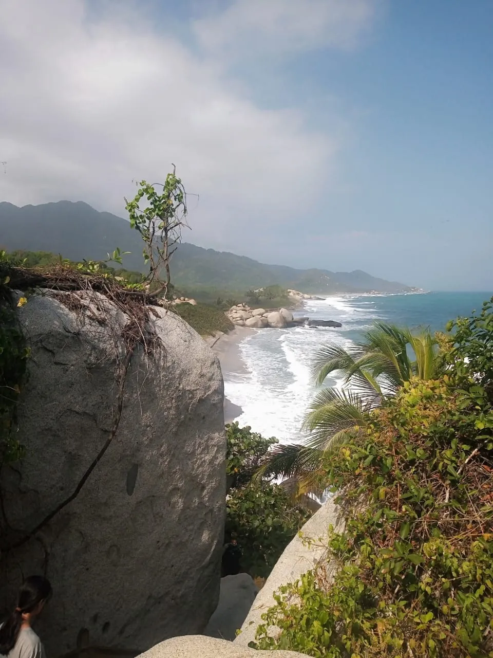Una Playa Salvaje y No Desarrollada con Olas Rompiendo Contra un Telón de Fondo de Bosque